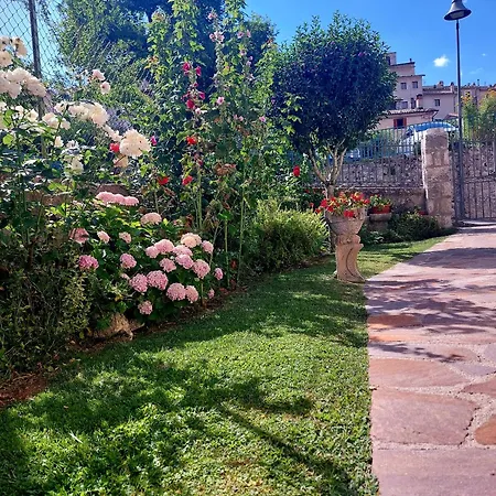 A Due Passi Dai Lupi Civitella Alfedena